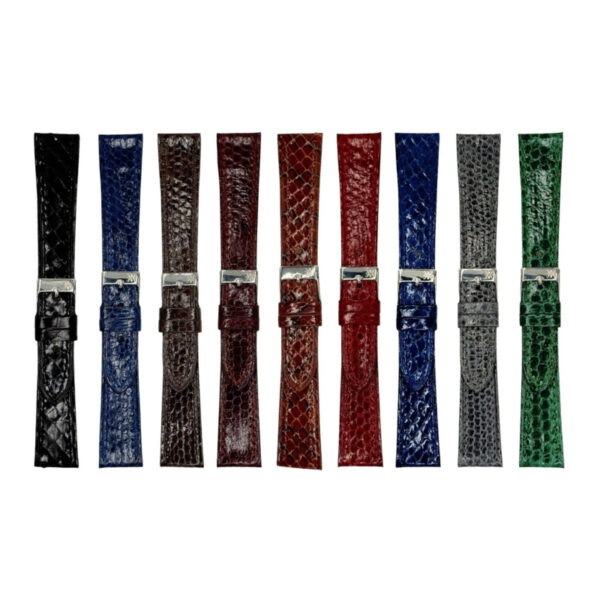 Snake   Serpiente Doble Disminucion